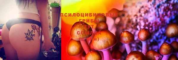 тгк Алзамай