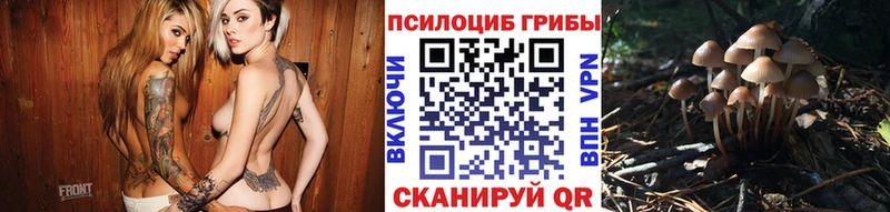 кракен как зайти  Циолковский  Галлюциногенные грибы MAGIC MUSHROOMS 